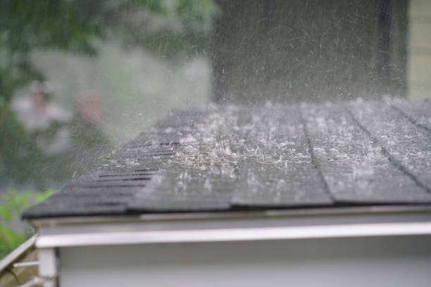 Best Asphalt Shingle Roofing  in Tillamook, OR